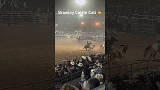 Brawley Cattle Call 2024 🤠 Good times [upl. by Feola]