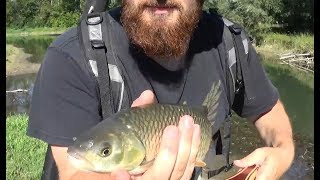 Döbelpirsch  Fliegenfischen am Alten Rhein [upl. by Eecyaj]