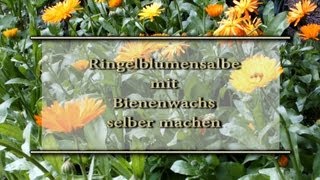 Ringelblumensalbe mit Bienenwachs selber machen [upl. by Aizirk95]