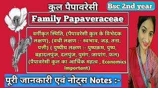 Family Papaveraceae Bsc 2nd year  कुल पैपावरेसी  Economic important  पूरी जानकारी एवं नोट्स Notes [upl. by Routh210]