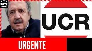 BOMBAZO de Ricardo Alfonsín que cae como un terremoto en la UCR ¿Se rompe [upl. by Yebot171]