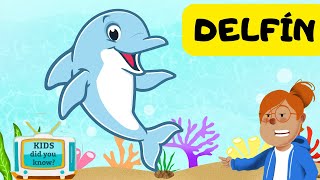 Curiosidades sobre los DELFINES 🐬🐬🌊  Videos educativos para NIÑOS 😊😊😊 [upl. by Ellemaj]