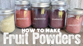 How to Make and Use Fruit Powders  Dehydrating Blueberries  The Purposeful Pantry [upl. by Atinuahs]