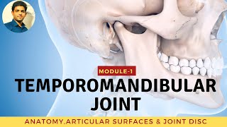 TEMPOROMANDIBULAR JOINT Anatomy amp Biomechanics [upl. by Adolfo139]