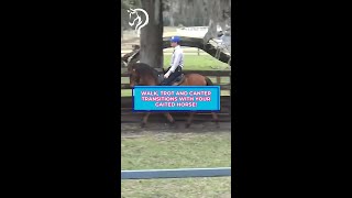 Walk Trot And Canter Transitions With Your Gaited Horse Part 14  The Horse GuruMichael Gascon [upl. by Cristoforo156]