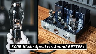 KILLER Affordable Tube Integrated Amplifier For Audiophile Home Sound Systems [upl. by Luiza]