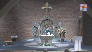 Mass from St Brigids Parish Belfast [upl. by Noslrac]