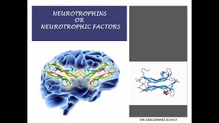 NEUROTROPHINS OR NEUROTROPHIC FACTORS [upl. by Leamhsi]