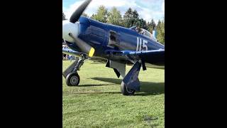 Hawker SeaFury brutal engine Sound aviation avgeek vintageaircraft fighter warbirds [upl. by Mercedes]