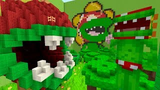 Minecraft Switch  Mario Hide and Seek  TRIPOLAR PARTY 12 [upl. by Ihcelek]