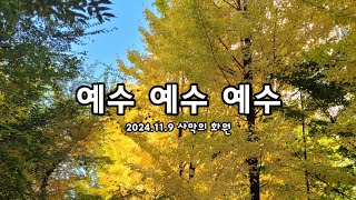 예수 예수 예수사막의 화원 [upl. by Ilsa]