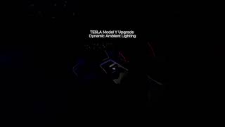 TESLA Model Y Nice Ambient Lights [upl. by Sacttler855]