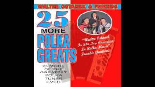 Walter Ostanek  More Polka Greats  Happy Birthday Polka [upl. by Solly]