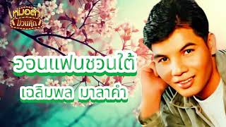 วอนแฟนชวนใต้  เฉลิมพล มาลาคำ Official Audio [upl. by Eirellam]