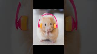 Hamsters ads DONT SKIP 🐹 shorts [upl. by Adiaros]