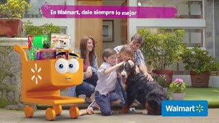 WALMART Dale siempre lo mejor a tu mascota 2018 [upl. by Eldnek]