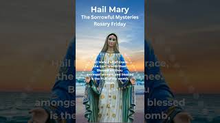 Hail Mary  Rosary Prayer  Rosary Friday  Sorrowful Mysteries  Ave Maria Piano hailmary shorts [upl. by Einahpets]