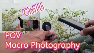 POV Macro Photography Using Android Phone  Chilli Peppers [upl. by Kamaria810]