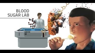 Labster Virtual Lab Blood Sugar Simulation [upl. by Ardnahc]