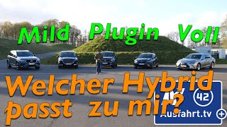 Welcher Hybrid passt zu mir Wie unterscheiden sich Mildhybrid PluginHybrid und Vollhybrid [upl. by Ailugram713]