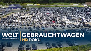 Heiligs Blechle  Deutschlands größter Gebrauchtwagenhandel  Doku [upl. by Phillip]