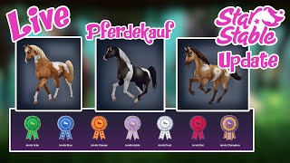 Star Stable SSO Live  Update  Araber Pinto Pferdekauf Server 11 Icy Palace [upl. by Adnwahsal]