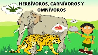 Productos derivados de los animales [upl. by Hotchkiss]