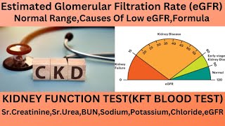 eGFRESTIMATED GLOMERULAR FILTRATION RATENORMAL RANGECAUSES OF LOW GFRGFR REPORT UNDERSTANDING [upl. by Sedda]