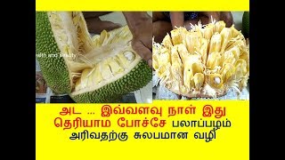 பலாப்பழம் அரிவதற்கு சுலபமான வழி  HOW TO CUT JACKFRUIT EASILY  palapazham1 [upl. by Patsy]