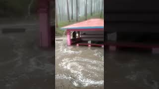 Binsar Mahadev Temple Flooded  Flood in Binsar Mahadev temple floods shorts binsarmahadev flood [upl. by Notle954]