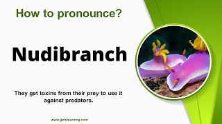 How to pronounce Nudibranch in English correctly [upl. by Atinhoj]