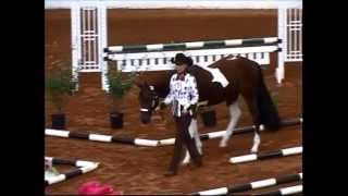 2012 APHA Breeders Futurity Gold Yearling InHand Trail [upl. by Ueik]