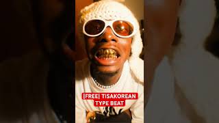 FREE TISAKOREAN TYPE BEAT  FLASHY ProdL33BRA typebeat tisakorean [upl. by Louanna]