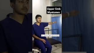 Upper limb Myotomesyoutubeshortsphysiotherapytreatment [upl. by Premer]