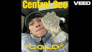 FREE Central Cee Type Beat 2024  UK Drill Instrumental  Cold [upl. by Biernat]