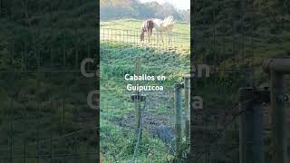 Caballos en Guipuzcoa [upl. by Carley904]