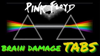 Pink Floyd Brain Damage Fingerstyle TABS [upl. by Hpesoj]