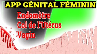 App Génital Féminin 2 Trompes Endomètre Col  Histologie [upl. by Mosira603]