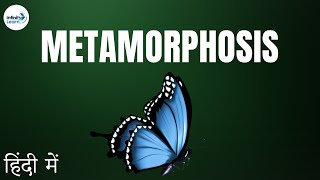 Reproduction  Lesson 07  Metamorphosis  in Hindi हिंदी में   Dont Memorise [upl. by Namso63]