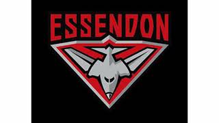 Essendon Bombers Club Song [upl. by Lesh]