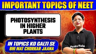 PHOTOSYNTHESIS IN HIGHER PLANTS  Most Important Topics for NEET Exam [upl. by Atronna]