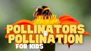 Pollinators and Pollination for Kids  Fun facts about pollination and whos responsible [upl. by Ahsinna395]