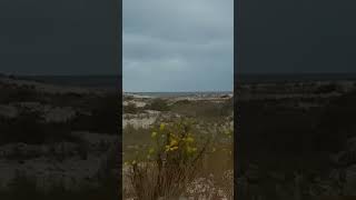 Looking across the dunes of The Point where the Delaware Bay meets the Atlantic Ocean [upl. by Aeel936]