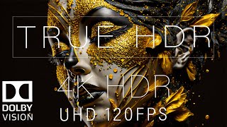 Wonderful 4K HDR 120FPS DOLBY VISION [upl. by Nyledaj318]