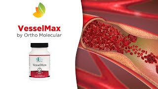 VesselMax by Ortho Molecular  Supreme Cardiovascular Support [upl. by Marj767]