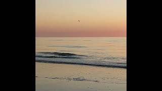 ostend beach 582024 oostende strand [upl. by Stanway]