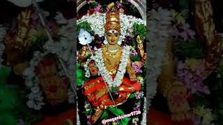 Muruga Arogara song tamil music god astrology murugan love shorts youtubeshorts trending [upl. by Akital2]