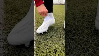 🔊 ASMR  new insane WHITEOUT Predators [upl. by Ytiak]