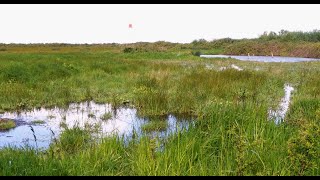 les Marais de Fouras [upl. by Anatollo]