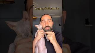 السماء تمطر قطط في جزيرة إندونيسيه 😱🐈 اكسبلور [upl. by Weber]